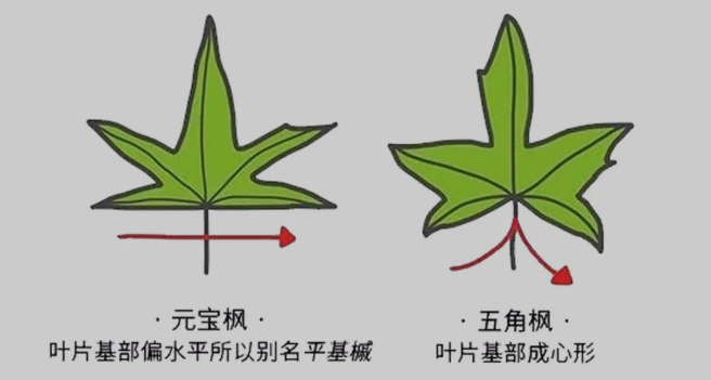 1634546295238678.png 1634546295238678.png