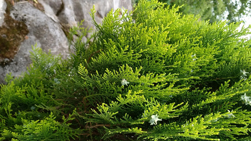 1636341367245348.jpg 22.webp.jpg