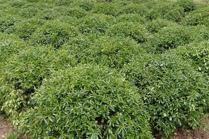 1649403596763079.jpeg 3f47cad67ec85e24598edfe286fb4572.jpeg