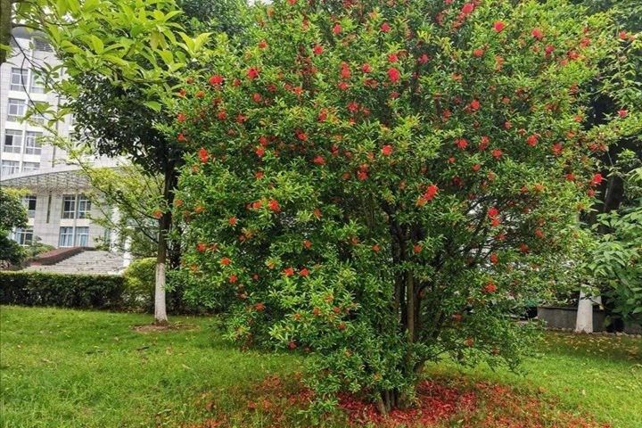 1686321329562625.jpg 0db9b4c3cf55bfd88f8aa24a4dbee55c_1686321004403328.jpg