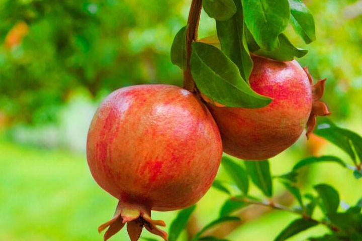 1686321349222450.jpg f8eead6b8f89447aff5176d7e1a50b17_1686321100917418.jpg