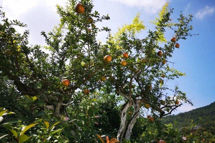 1686321356972743.jpg 55fdde1cf1c018817563cb183021ce98_1686321027292451.jpg