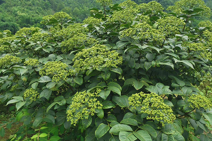 1686363979714002.jpg 住1.jpg