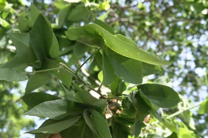 1686451893434083.jpg c7eace07597d1618e7d144f89f334870_1646795960867532.jpg