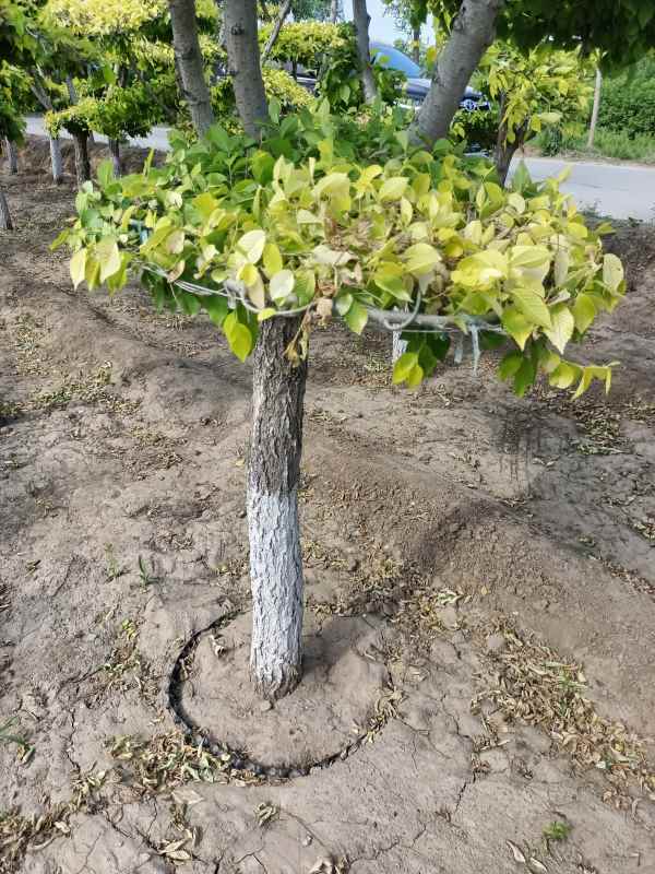 1733988182556030.jpg IMG_20220526_160843.jpg