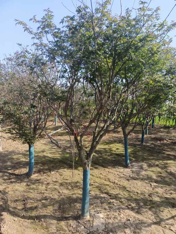 1734244621635291.jpg IMG_20220925_093151.jpg