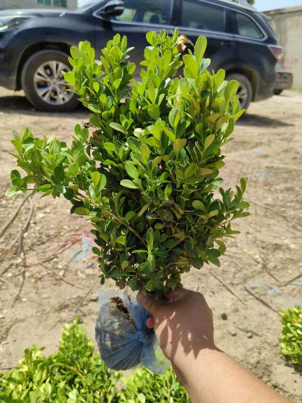 1734421197788643.jpg IMG_20230507_113419.jpg