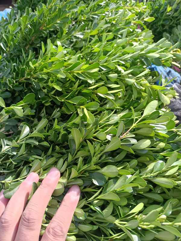 1734421799202778.jpg IMG_20220924_135926.jpg