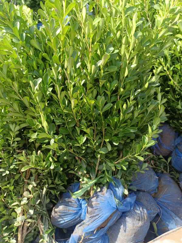 1734422006883601.jpg IMG_20220924_135435.jpg